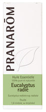 Pranarôm - HUILE ESSENTIELLE - Eucalyptus radié   - 10 ml
